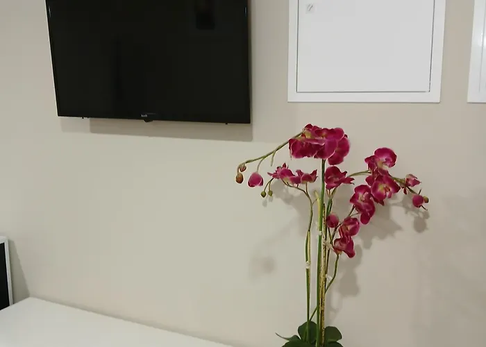 Apartmán Casamalia 56